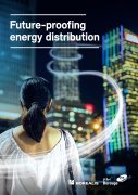 Future proofing energy distribution
