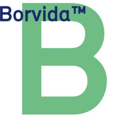 Borvida Logo 700x700px2