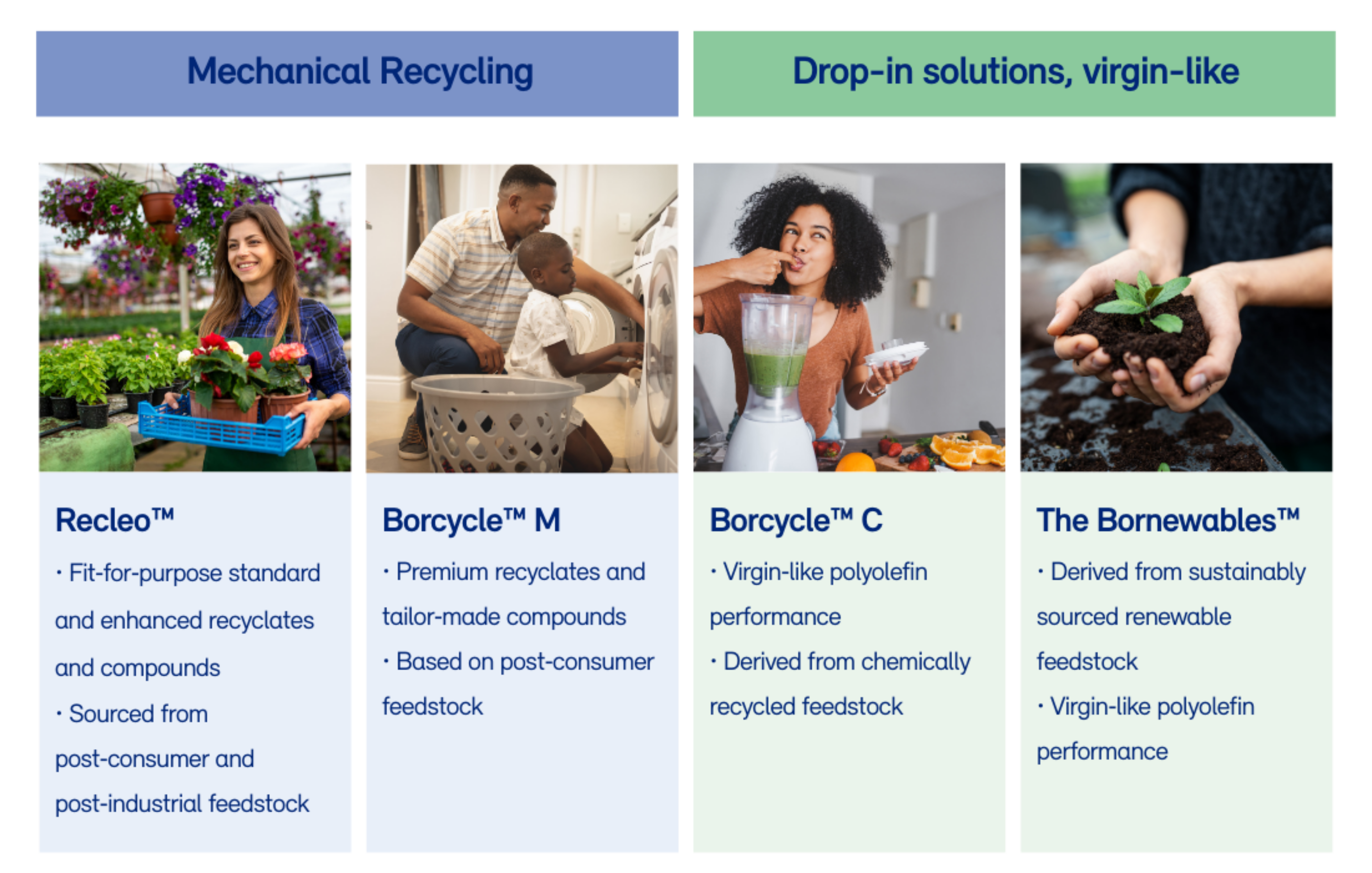 CES Web Image Overview