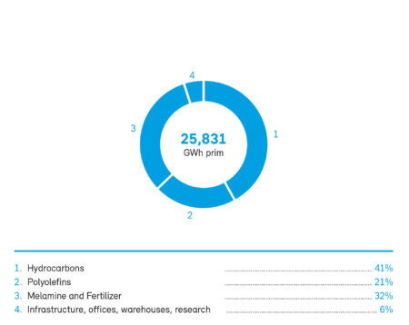 Total Energy Consumption Per Product Group In 2019