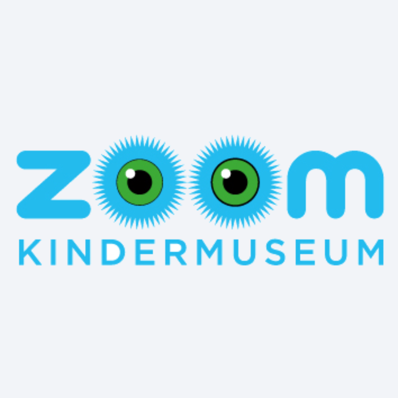 Logo ZOOM cyan